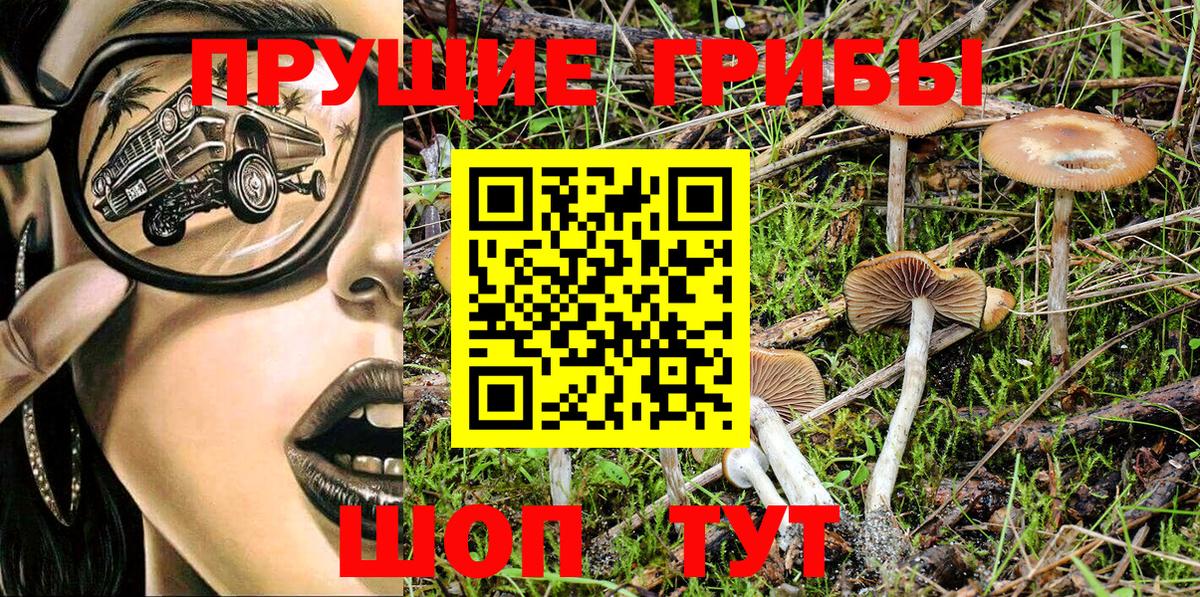 Канск  Псилоцибиновые грибы MAGIC MUSHROOMS  Галлюциногенные грибы Psilocybe  Вход с VPN 