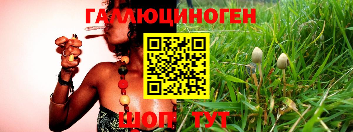 Галлюциногенные грибы GOLDEN TEACHER Канск
